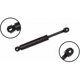 Purchase Top-Quality Lift Support by FCS AUTOMOTIVE - 84101 pa2