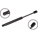 Purchase Top-Quality Lift Support by FCS AUTOMOTIVE - 84119 pa2
