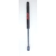Purchase Top-Quality Lift Support by FCS AUTOMOTIVE - 84123 pa1