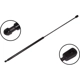 Purchase Top-Quality Lift Support by FCS AUTOMOTIVE - 84171 pa2