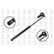 Purchase Top-Quality FCS AUTOMOTIVE - 84174L - Lift Support pa2