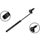 Purchase Top-Quality Lift Support by FCS AUTOMOTIVE - 84174R pa2