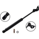Purchase Top-Quality Lift Support by FCS AUTOMOTIVE - 84217R pa2