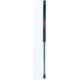 Purchase Top-Quality FCS AUTOMOTIVE - 84329 - Lift Support pa1