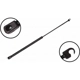 Purchase Top-Quality Lift Support by FCS AUTOMOTIVE - 84333 pa2