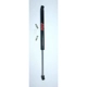Purchase Top-Quality Lift Support by FCS AUTOMOTIVE - 84361 pa1