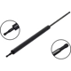 Purchase Top-Quality Lift Support by FCS AUTOMOTIVE - 84432 pa2