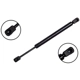 Purchase Top-Quality FCS AUTOMOTIVE - 84471 - Trunk Lid Lift Support pa1
