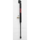 Purchase Top-Quality Lift Support by FCS AUTOMOTIVE - 84554 pa1