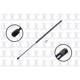 Purchase Top-Quality Lift Support by FCS AUTOMOTIVE - 84817 pa5
