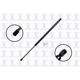 Purchase Top-Quality Lift Support by FCS AUTOMOTIVE - 84838 pa5
