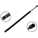 Purchase Top-Quality FCS AUTOMOTIVE - 86019 - Liftgate Lift Support pa1
