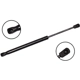 Purchase Top-Quality FCS AUTOMOTIVE - 86020 - Hood Lift Support pa1