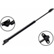 Purchase Top-Quality FCS AUTOMOTIVE - 86102 - Lift Support pa2