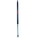 Purchase Top-Quality FCS AUTOMOTIVE - 86110 - Lift Support pa1