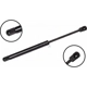 Purchase Top-Quality Lift Support by FCS AUTOMOTIVE - 86169 pa2