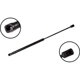 Purchase Top-Quality Lift Support by FCS AUTOMOTIVE - 86177 pa2