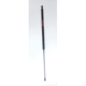 Purchase Top-Quality Lift Support by FCS AUTOMOTIVE - 86289 pa1