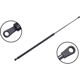 Purchase Top-Quality Lift Support by FCS AUTOMOTIVE - 86316 pa3