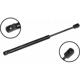 Purchase Top-Quality Lift Support by FCS AUTOMOTIVE - 86326 pa2