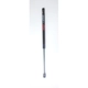 Purchase Top-Quality Lift Support by FCS AUTOMOTIVE - 86352 pa1