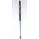 Purchase Top-Quality Lift Support by FCS AUTOMOTIVE - 86355 pa1