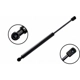 Purchase Top-Quality Lift Support by FCS AUTOMOTIVE - 86365 pa2