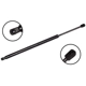 Purchase Top-Quality FCS AUTOMOTIVE - 86380 - Liftgate Lift Support pa1