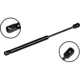 Purchase Top-Quality Lift Support by FCS AUTOMOTIVE - 86428 pa2