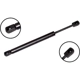 Purchase Top-Quality Lift Support by FCS AUTOMOTIVE - 86430 pa2
