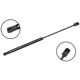Purchase Top-Quality FCS AUTOMOTIVE - 86682 - Hood Lift Support pa1