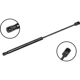 Purchase Top-Quality FCS AUTOMOTIVE - 86682 - Hood Lift Support pa2