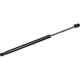 Purchase Top-Quality FCS AUTOMOTIVE - 86702R - Liftgate Lift Support pa2