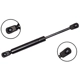 Purchase Top-Quality FCS AUTOMOTIVE - 86759 - Trunk Lid Lift Support pa1