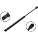 Purchase Top-Quality Lift Support by FCS AUTOMOTIVE - 86862 pa2
