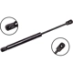 Purchase Top-Quality Lift Support by FCS AUTOMOTIVE - 87006 pa2