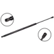Purchase Top-Quality FCS AUTOMOTIVE - 87013 - Liftgate Lift Support pa1