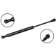 Purchase Top-Quality FCS AUTOMOTIVE - 87028 - Hood Lift Support pa1