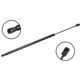 Purchase Top-Quality FCS AUTOMOTIVE - 87040 - Lift Support pa1