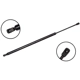 Purchase Top-Quality FCS AUTOMOTIVE - 87061 - Liftgate Lift Support pa1