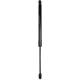Purchase Top-Quality FCS AUTOMOTIVE - 87066 - Tailgate Lift Support pa1