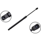 Purchase Top-Quality FCS AUTOMOTIVE - 87066 - Tailgate Lift Support pa2
