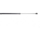 Purchase Top-Quality LESJOFORS - 8069707 - Lift Support pa2