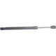 Purchase Top-Quality Lift Support by LESJOFORS - 8104267 pa1