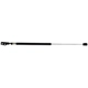 Purchase Top-Quality LESJOFORS - 8137213 - Driver Side Liftgate Lift Support pa1