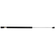 Purchase Top-Quality LESJOFORS - 8137215 - Liftgate Lift Support pa1