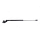 Purchase Top-Quality LESJOFORS - 8144244 - Liftgate Lift Support pa1