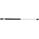 Purchase Top-Quality LESJOFORS - 8155455 - Liftgate Lift Support pa1