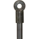 Purchase Top-Quality Lift Support by LESJOFORS - 8169701 pa4