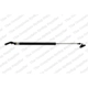 Purchase Top-Quality Lift Support by LESJOFORS - 8192544 pa1